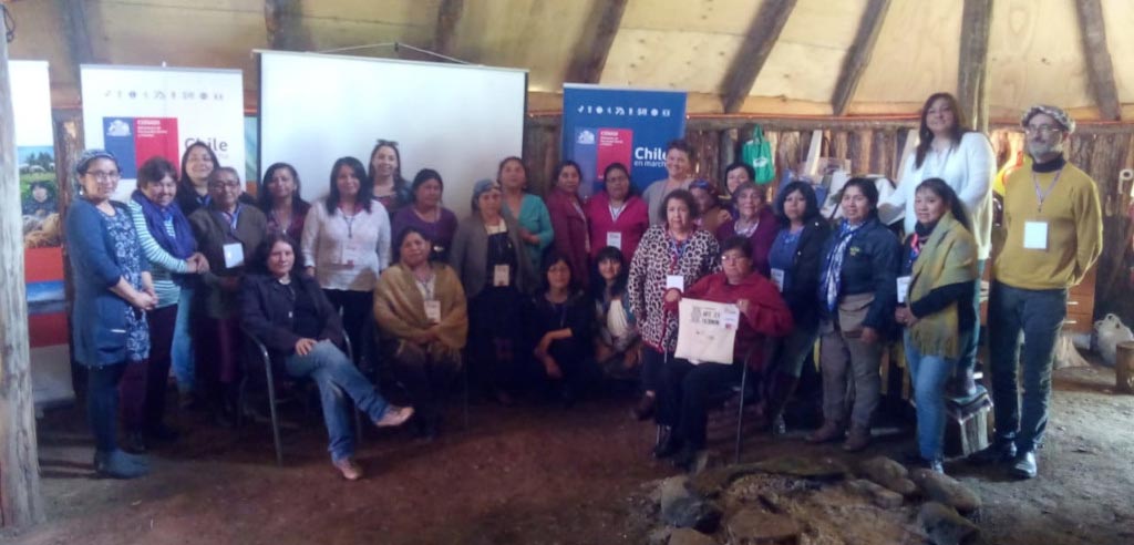 Programa para el Fomento de la Artesanía Williche, Conadi Osorno 2019